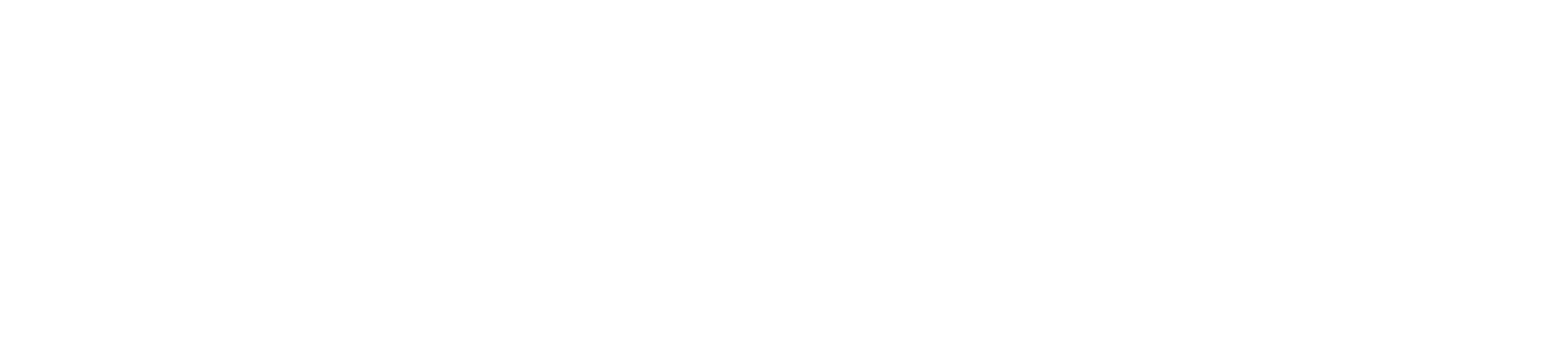Orio IT